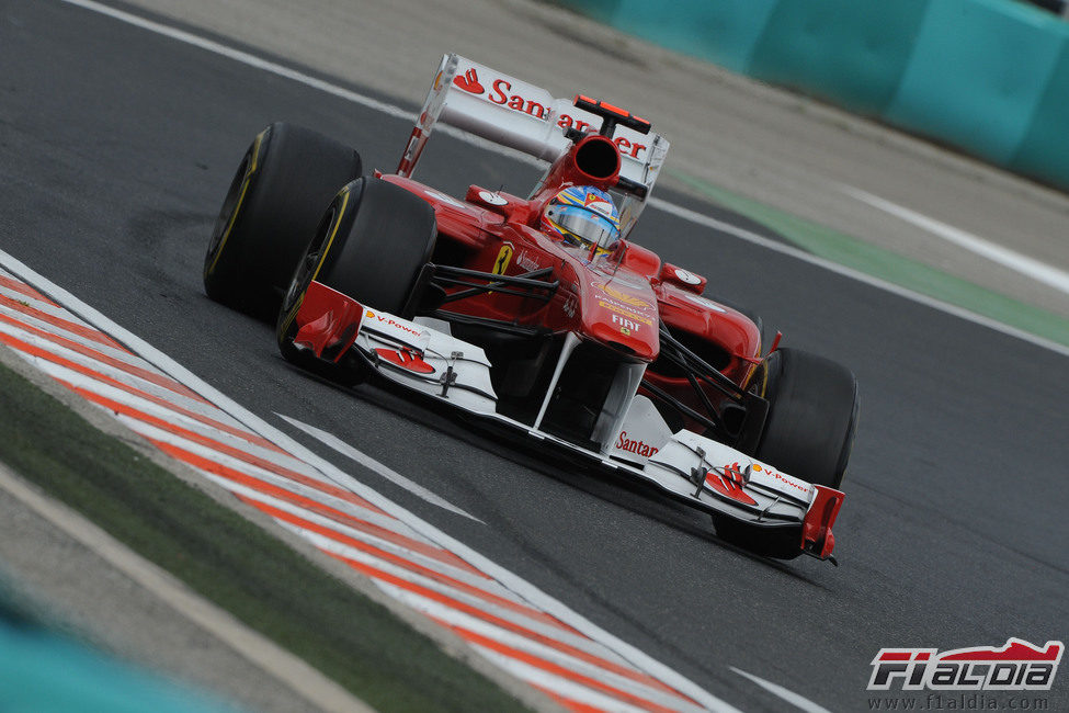 Fernando Alonso durante los entrenamientos libres del GP de Hungría 2011