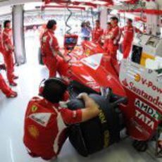 Actividad en el box de Fernando Alonso en el GP de Hungría 2011