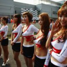 Las 'pitbabes' del GP de Corea 2011