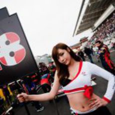 La 'pitbabe' de Sébastien buemi en el GP de Corea 2011