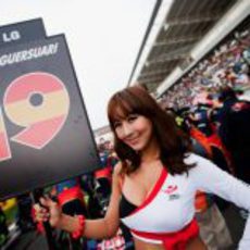 La 'pitbabe' de Jaime Alguersuari en el GP de Corea 2011