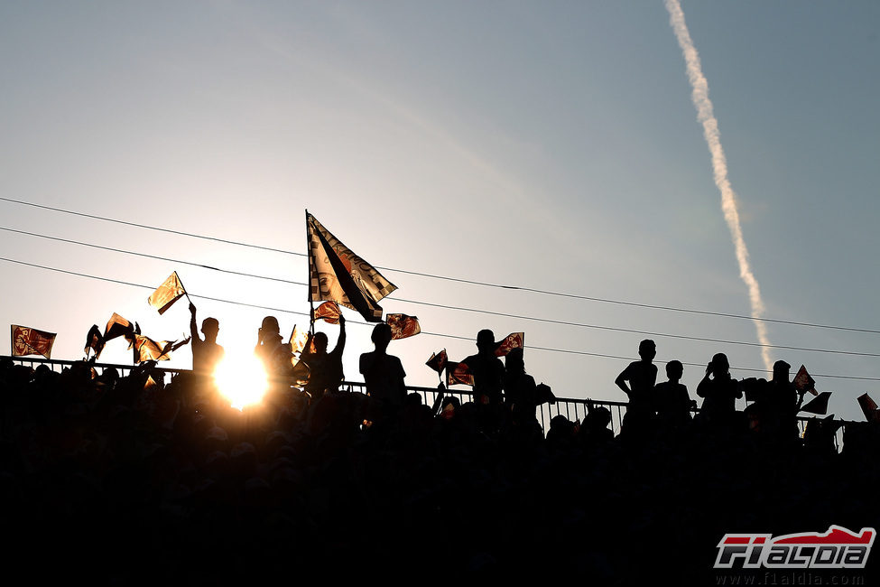 Celebraciones en la grada de Suzuka por el título 2011 de Sebastian Vettel