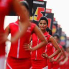 Las 'pitbabes' del GP de India sostienen los números de los pilotos