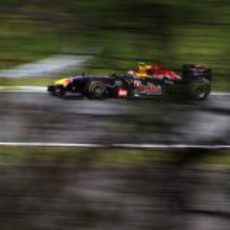 Mark Webber en la carrera del GP de Brasil 2011