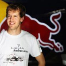 Sebastian Vettel en el box de Red Bull en Interlagos