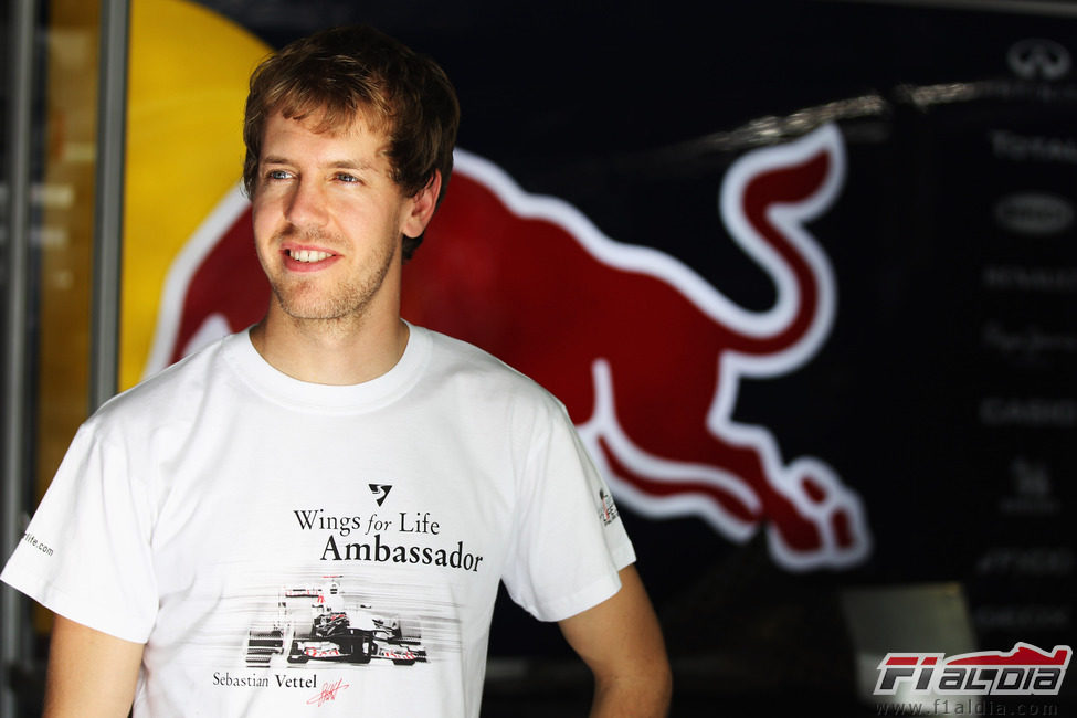 Sebastian Vettel en el box de Red Bull en Interlagos