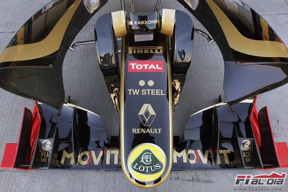 Repuestos para el Lotus R30 de Kimi Räikkönen
