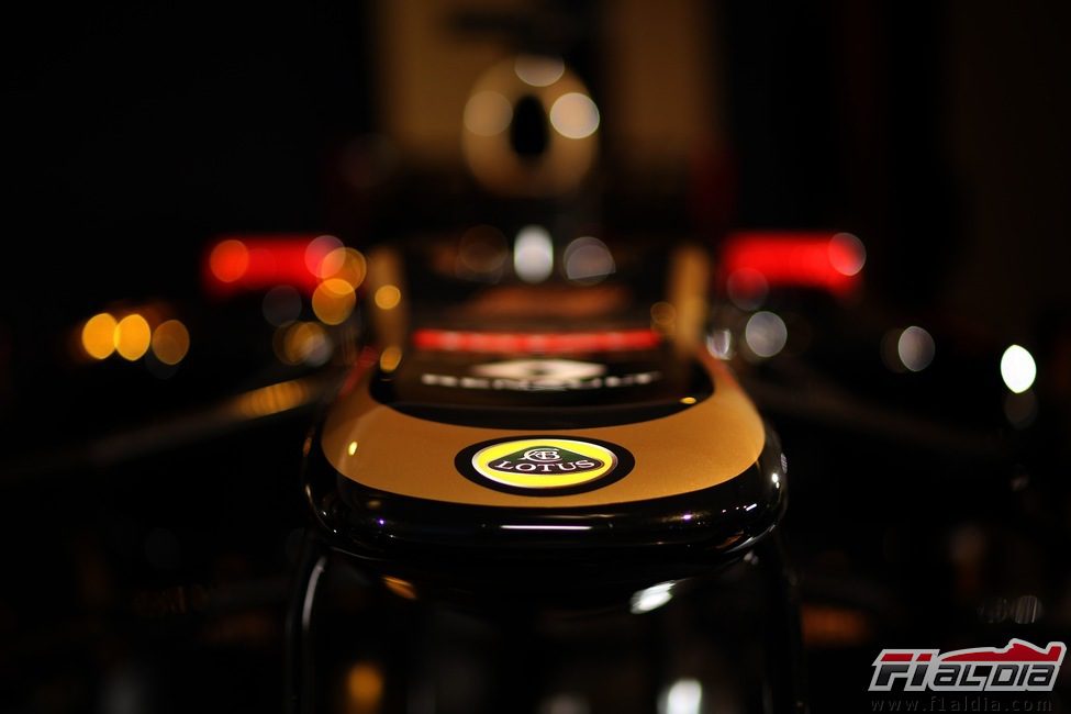 Detalle del morro del Lotus E20