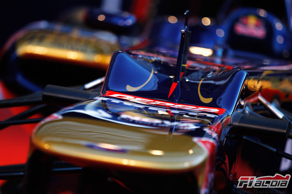 Detalle del morro del Toro Rosso STR7