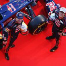 Vergne y Ricciardo miran hacia arriba