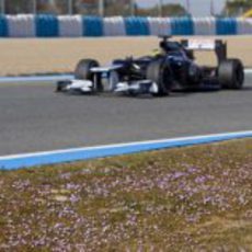 Bonita imagen de Senna en el Williams FW34