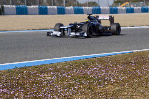 Bonita imagen de Senna en el Williams FW34