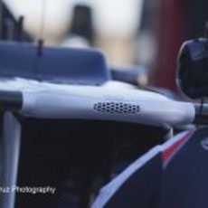 Detalle del morro del Williams FW34