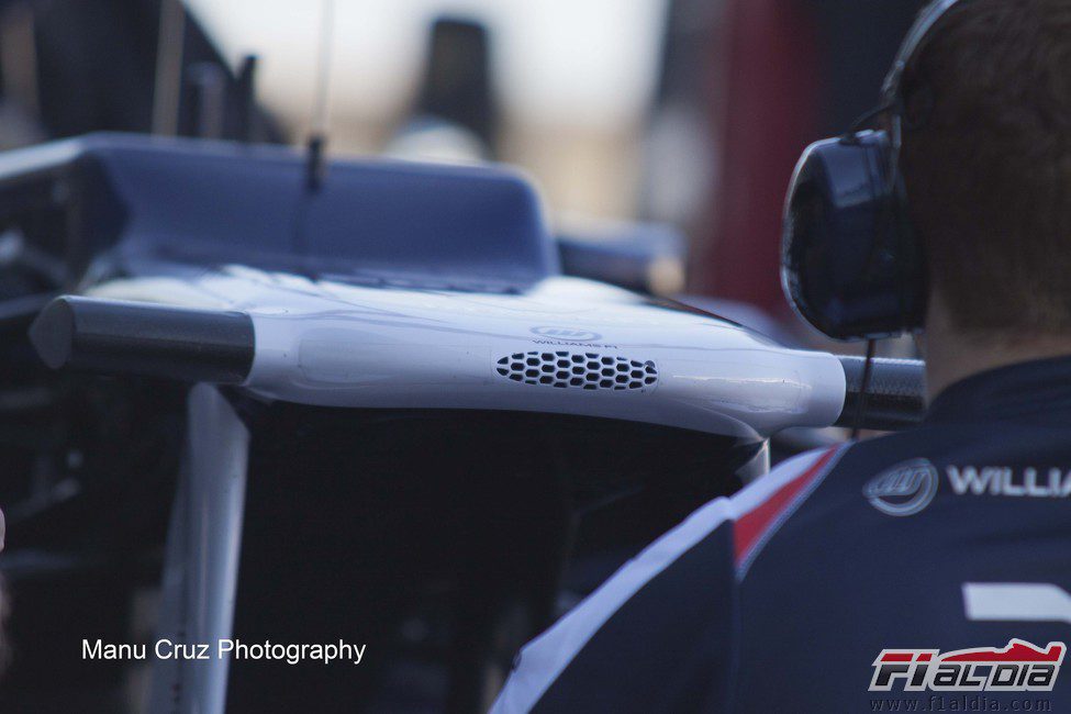 Detalle del morro del Williams FW34