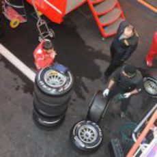 Los técnicos de Pirelli trabajan en los neumáticos