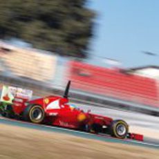 Parafina en el Ferrari de Fernando Alonso