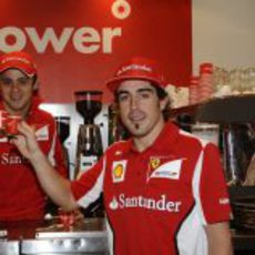 Felipe Massa y Fernando Alonso brindan en Australia