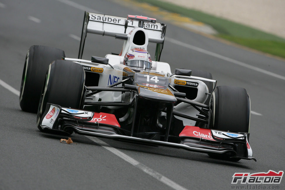 Kamui Kobayashi a bordo de su C31 en los primeros libres del GP de Australia 2012