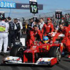 Fernando Alonso en la parrilla de Melbourne