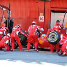 Ferrari practica un pit-stop con Fernando Alonso