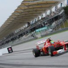 Felipe Massa sale de boxes buscando una vuelta rápida