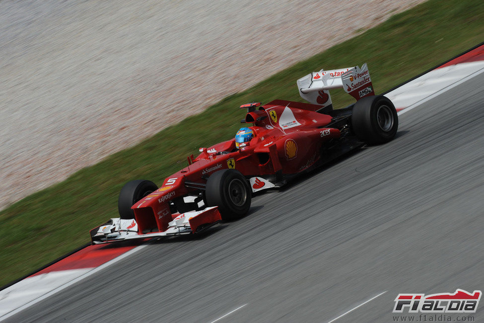 Fernando Alonso saldrá 8º en Sepang