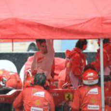 Fernando Alonso bajo el tenderete de Ferrari en Sepang