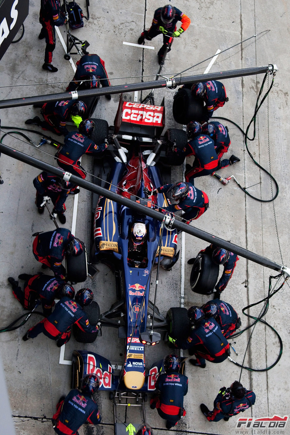 Daniel Ricciardo hace una de sus paradas en Sepang