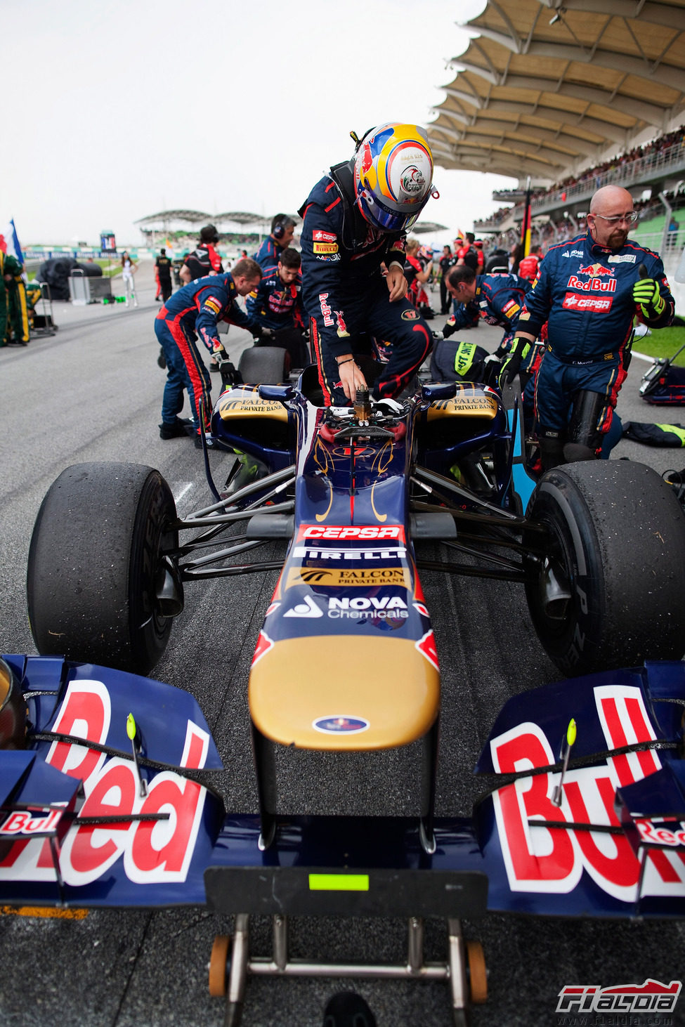 Jean-Eric Vergne se sube al STR7 para comenzar la carrera