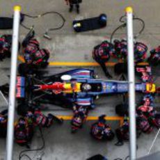 Sebastian Vettel realiza un 'pit stop' en Sepang