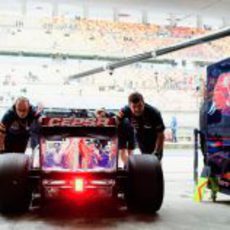 Cepsa, fiel a Toro Rosso