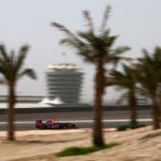 Sebastian Vettel con su RB8 en el circuito de Sakhir