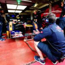 Toro Rosso se prepara para sacar su coche a pista