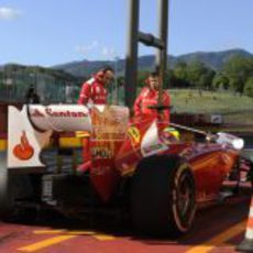 Felipe Massa parado en el pitlane