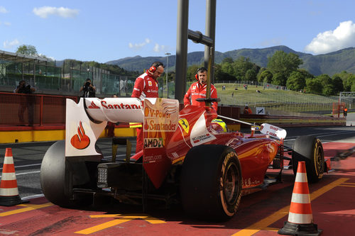 Felipe Massa parado en el pitlane