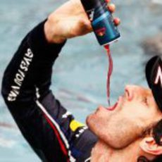Mark Webber se bebe un Red Bull en la piscina del equipo