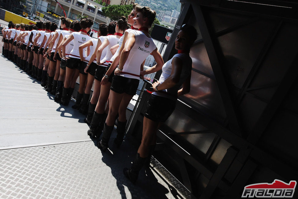 Las 'pitbabes' del GP de Mónaco 2012 en fila