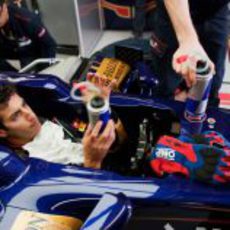 Daniel Ricciardo con su bebida en su STR7