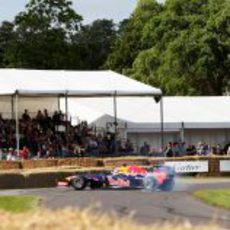 Sebastian Vettel se marca un trompo con el coche en Goodwood