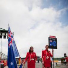 'Pit babes' de Daniel Ricciardo en Gran Bretaña 2012