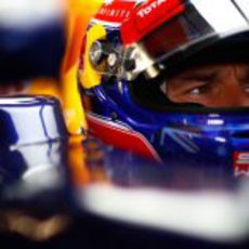 Mark Webber se cocnentra dentro del RB8