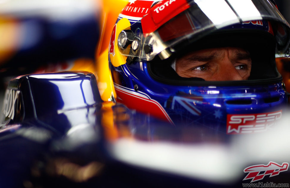 Mark Webber se cocnentra dentro del RB8