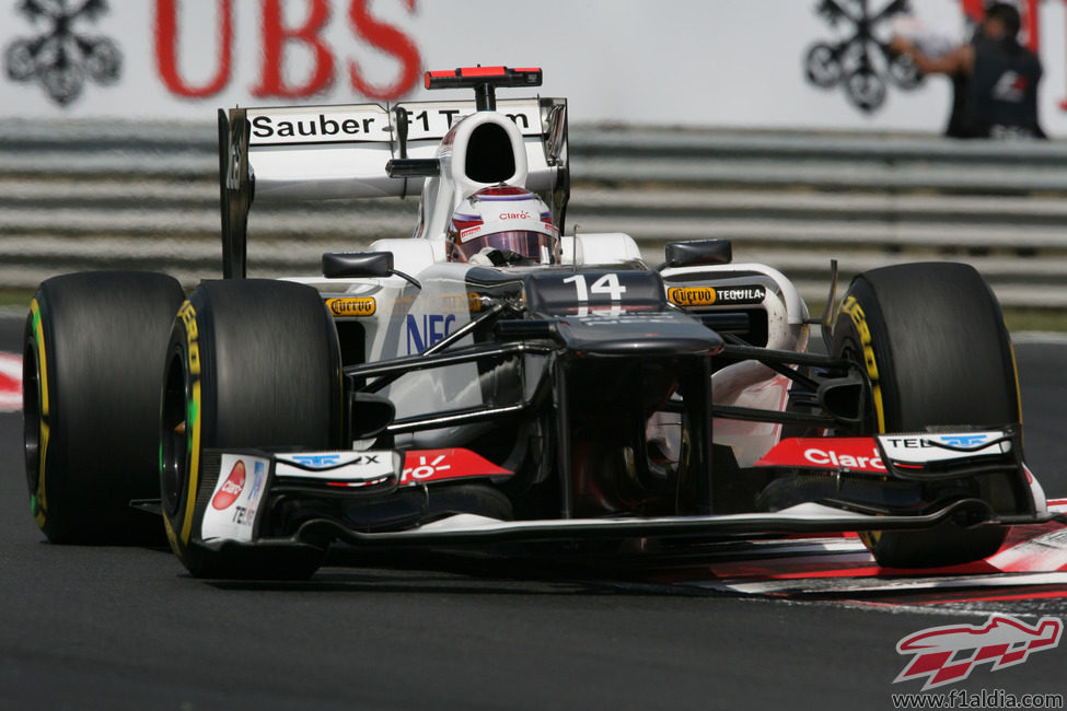 Kamui Kobayashi saldrá 15º en la carrera de Hungría