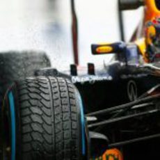 Detalle de la goma de agua de Sebastian Vettel en Spa