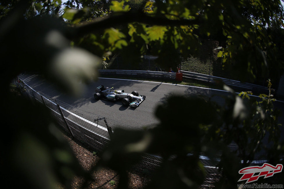 Nico Rosberg a bordo de su Mercedes en las rectas de Monza