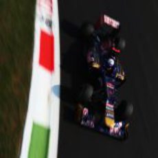 Daniel Ricciardo a toda velocidad