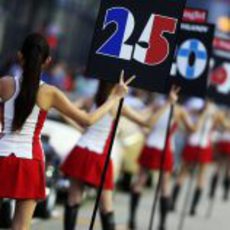 Las 'pit babes' del GP de Singapur 2012