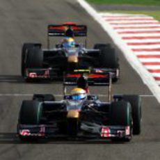 Los dos Toro Rosso en carrera