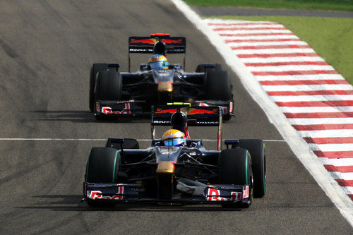 Los dos Toro Rosso en carrera