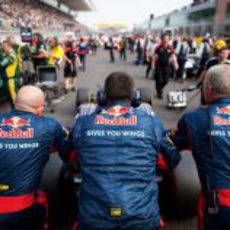 Los mecánicos de Toro Rosso empujan el STR7 en la parrilla